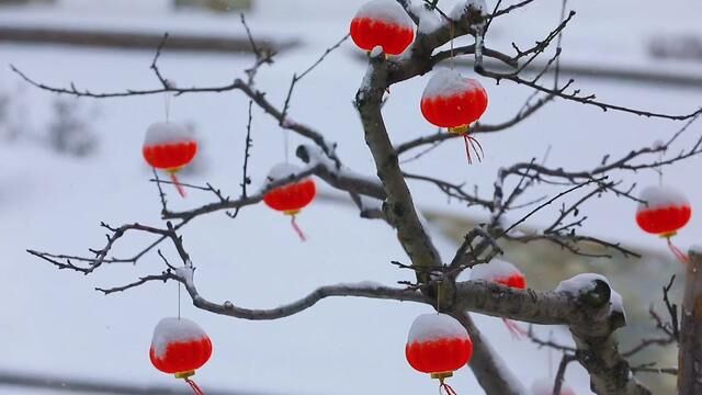 偷得浮生半日闲,山中无事小神仙.#大年初三 #有雪的春节才是那味儿