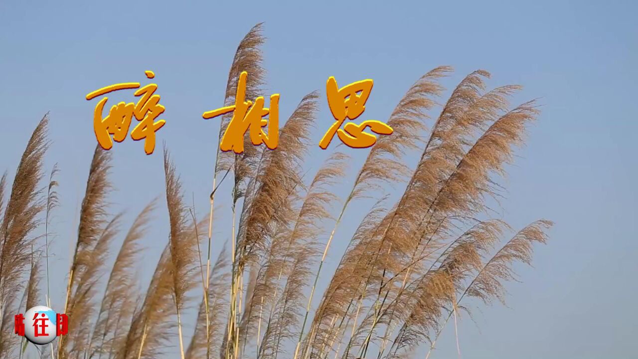 伤感音乐《醉相思》往日时光