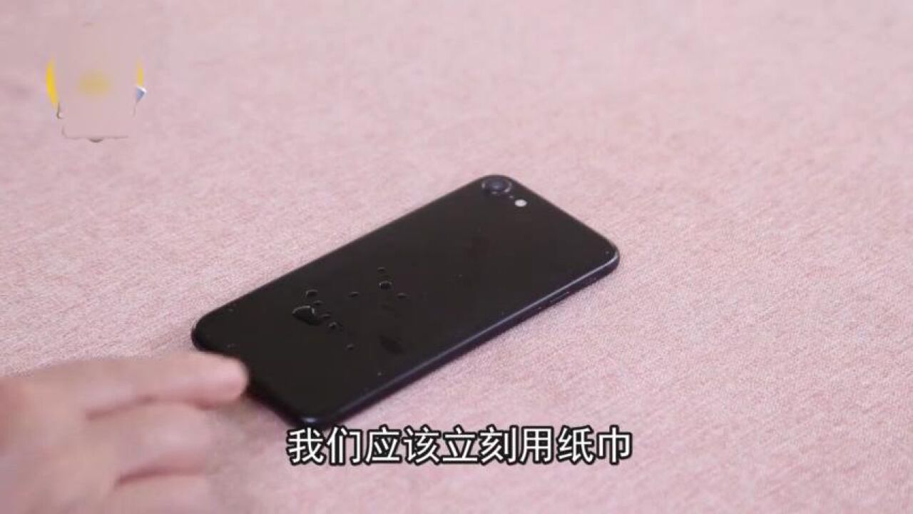 手机进水了怎么办？教你几招，轻松搞定！_高清1080P在线观看平台_腾讯视频