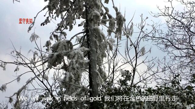 登上燃灯寺看雪迈克尔ⷮŠ波顿金色原野