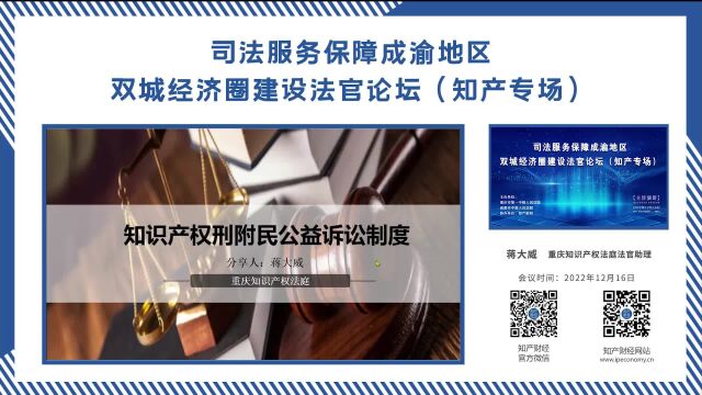 知识产权刑事附带民事案件中适用公益诉讼制度的实践检视与制度完善