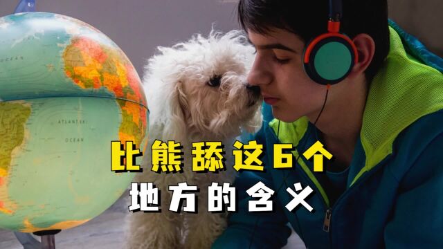 比熊舔不同地方有不同含义!你知道吗?