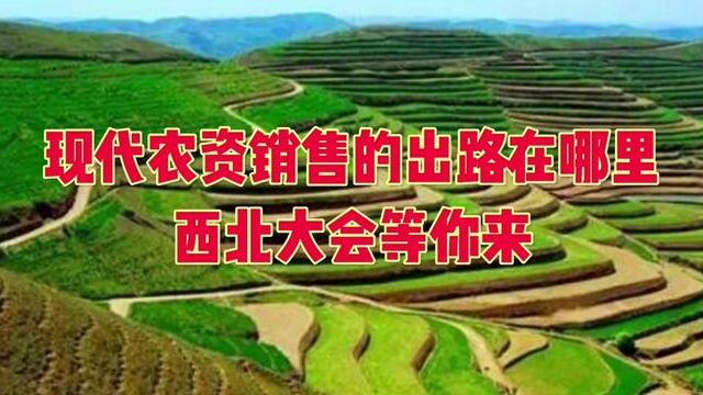 告诉你现代农资销售的出路在哪里?#农资销售#农田行者技术服务联盟#农田行者