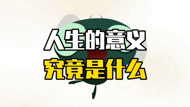 人生的意义究竟是什么?