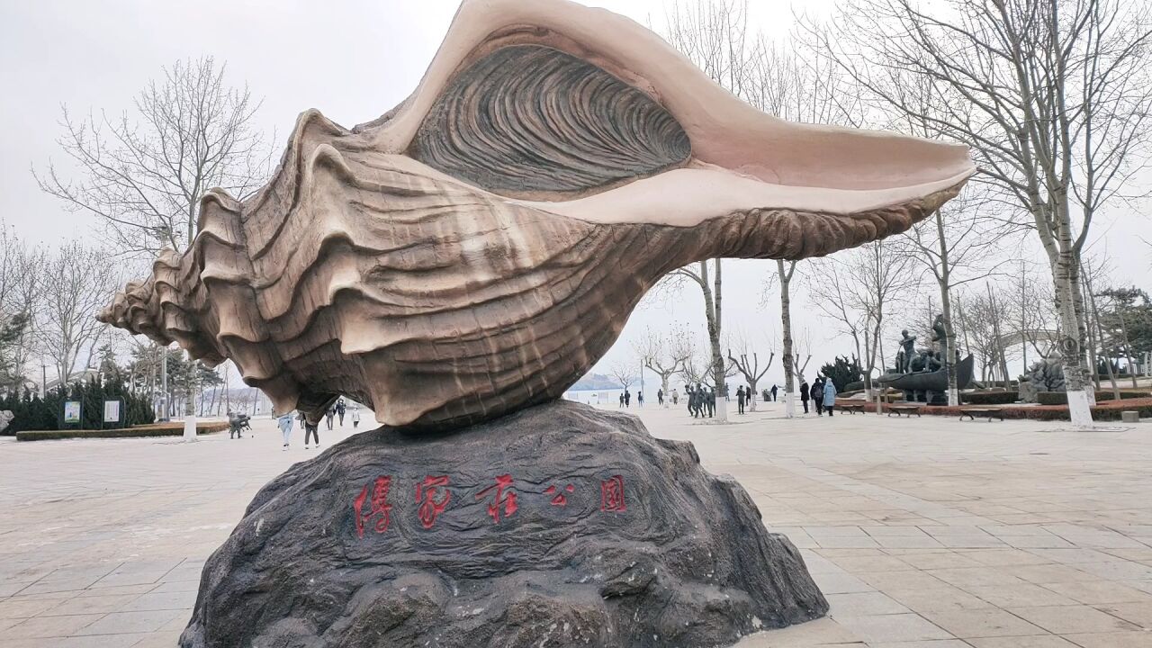 大连付家庄公园,看看热闹吗?非常受欢迎的浴场,还能喂海鸥