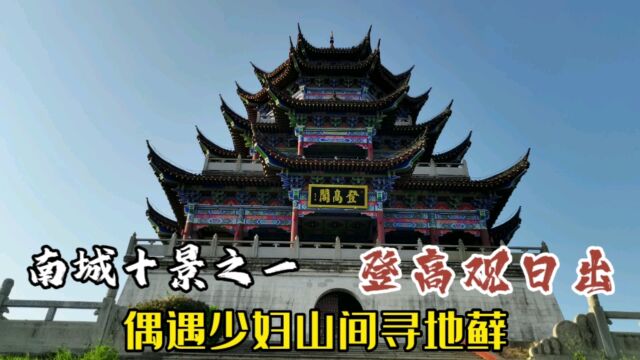 南城八景之首的登高公园,在这偶遇一少妇山间寻地藓,我登高远眺城市风景一览无遗