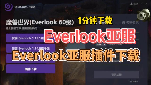 魔兽世界Everlook亚服1分钟下载,最高110mb/s,Everlook亚服插件下载方法