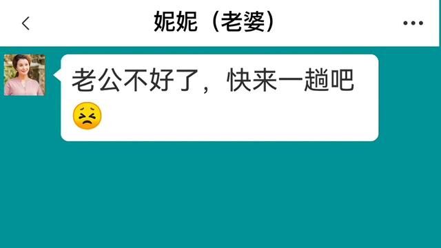 老婆说我愣头青,我…#聊天记录 #不按套路出牌 #搞笑