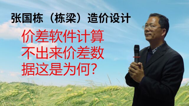 张国栋(栋梁)造价设计:价差软件计算不出来价差数据这是为何?