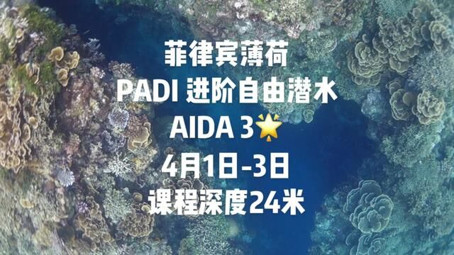 疫情开放第一团!小伙伴们感兴趣的联系客服吧!#padi自由潜水 一个名额!可考2星或者padi freediver!