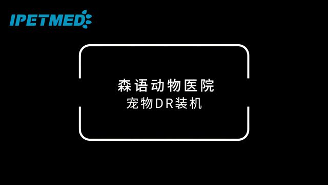 走进森语动物医院,感受与众不同的宠物医疗体验——宜宠DR,让爱宠更健康!