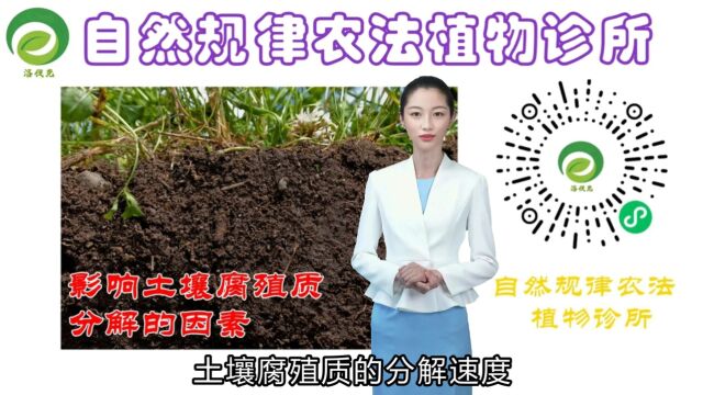 农学知识早知道:影响腐殖质分解速度得因素