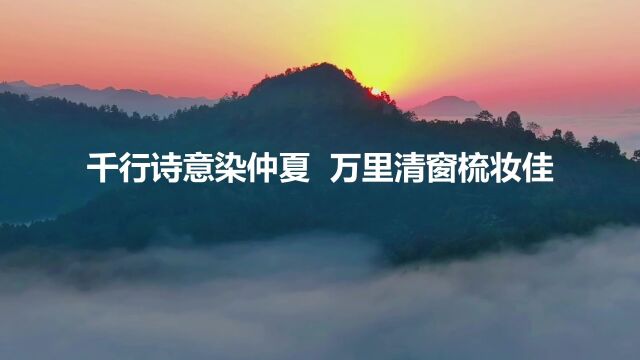 郑子、张宏、非也、丁灯 诗歌MV《千行诗意染仲夏 万里清窗梳妆佳》