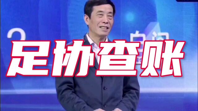 总局巡视组将进入足协查账?陈戌源上任以来多笔账目说不清?