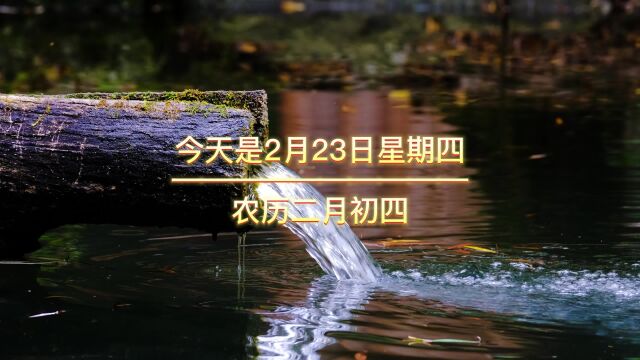 今天是2月23日星期四农历二月初四,早上好,人生,输输赢赢,或