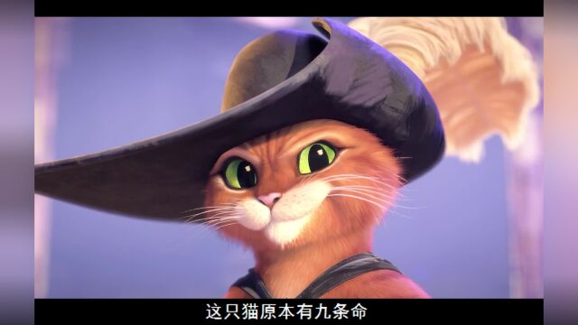 穿鞋子的猫2 01