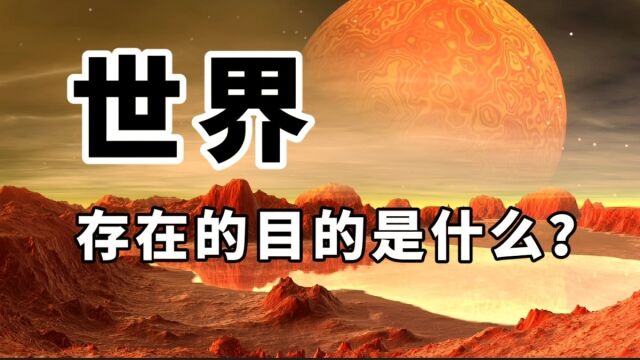 一句话问答录:世界存在的目的是什么?