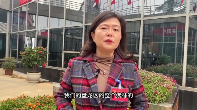 代表声音|乐戎:加快盘龙区省级森林乡村建设