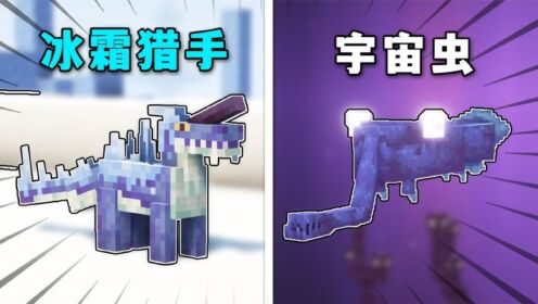 假如MC添加更多虚构生物,驯服可以从虚空救回主人的宇宙虫!_高清1080P在线观看平台_腾讯视频