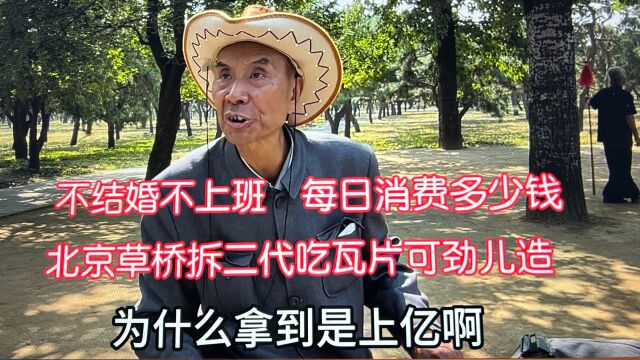 北京草桥“拆二代”吃“瓦片”可劲儿造?不上班每日消费多少钱呢