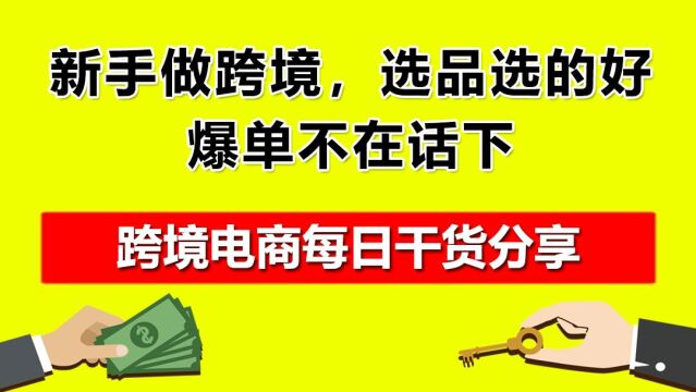 1.新手做跨境,选品选的好,爆单不在话下