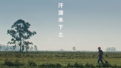 “影响世界的中国元素——稻米”单元展映：《汗滴禾下土》