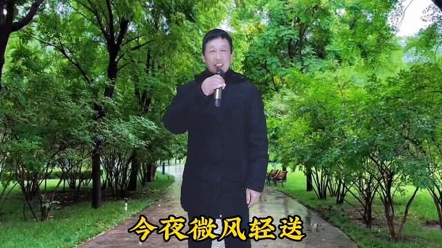 一首非常好听的老歌《最真的梦》曾红遍大街小巷,听了上瘾!