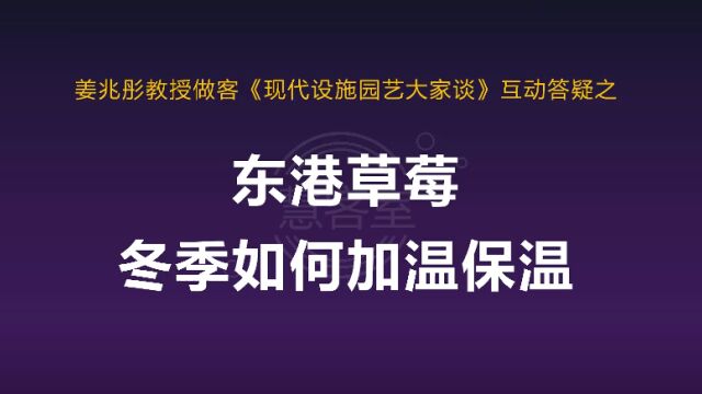 东港草莓冬季如何加温保温