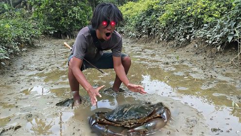 越南农村养殖青蟹，蟹农清理池子抓三斤大的螃蟹，必须来见识一下