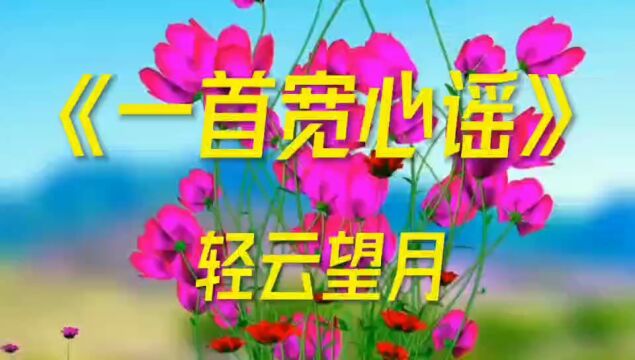 网络热歌《一首宽心谣》轻云望月演唱