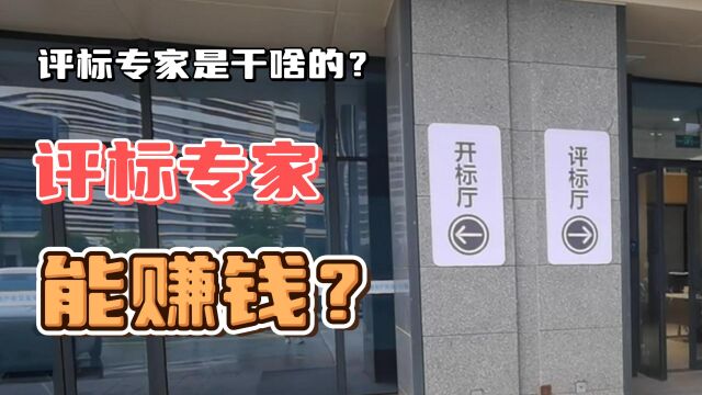 评标专家是怎么干活的?11山当了一次评标组长,能赚600元专家费