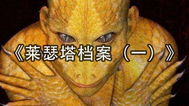 莱瑟塔档案(一)