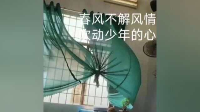 轻轻敲醒你的心灵