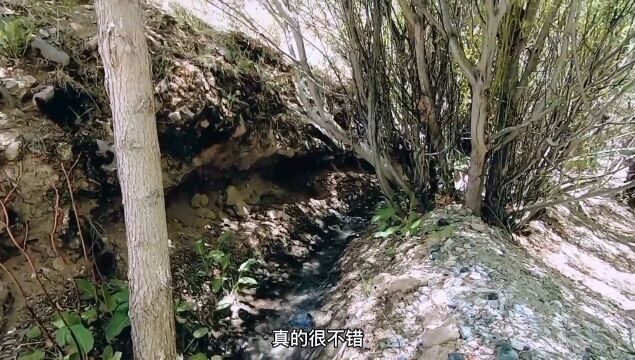 探索青藏高原日喀则地区擦擦洞,海拔4500多带着氧气瓶,不知道队友能不能适应