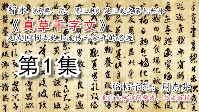 隋 智永《真草千字文》全文书法【周东芬临帖视频】第1集