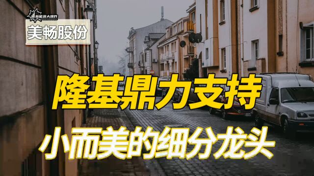 毛利率和市占率都超高,隆基更是鼎力支持,小而美的细分龙头