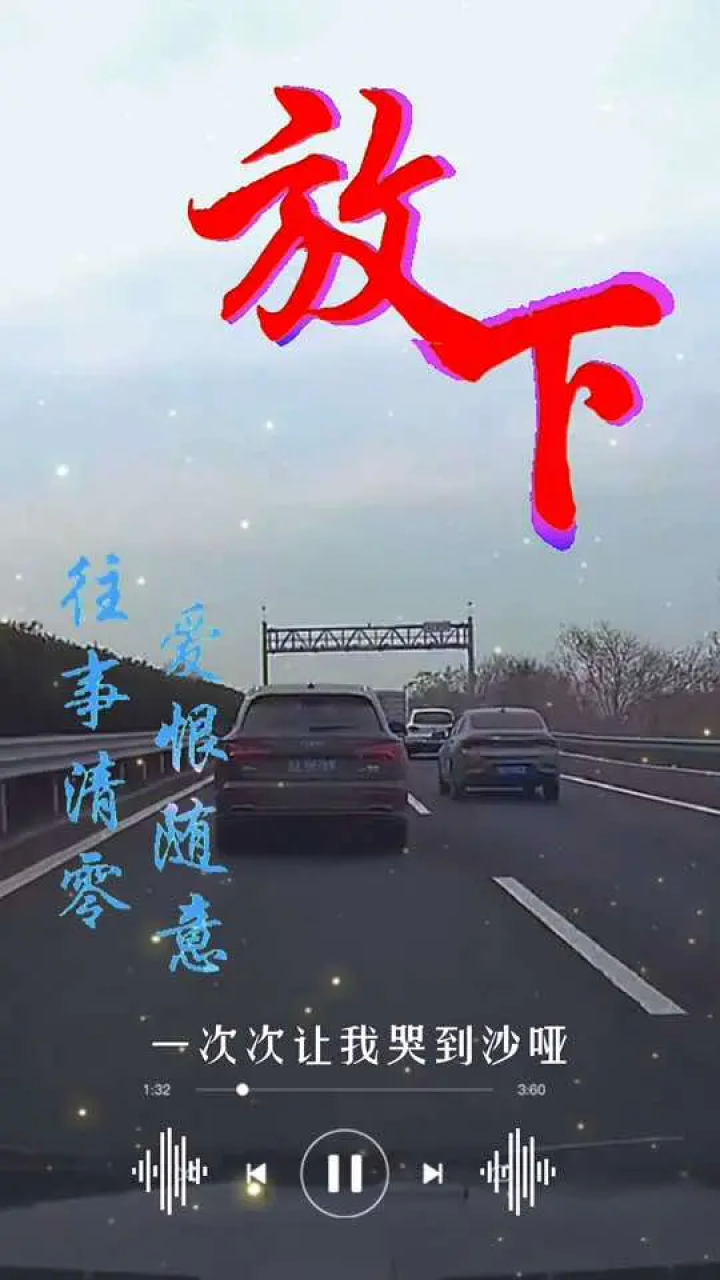 爱恨随意,往事清零#敬往事一杯酒 #来生不做痴情人