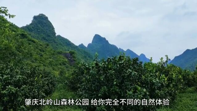 肇庆北岭山森林公园,休闲娱乐理想场所