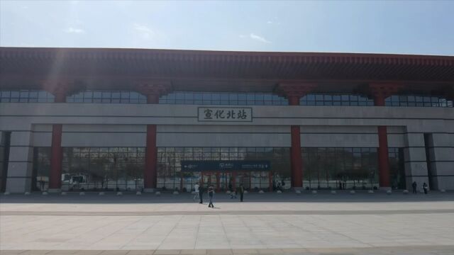 京张体育文化旅游带|宣化“天下第一葡萄老藤” 600多年仍枝繁叶茂