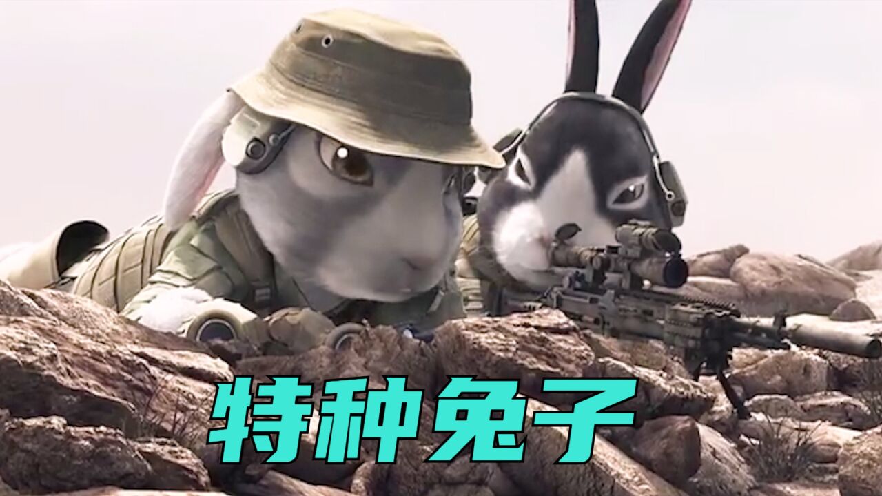拿枪的兔子真的太猛了,连特种兵见了都甘拜下风!