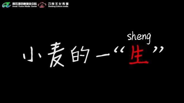 小麦的一“生” 小麦生长需要约24000000秒,浪费粮食只需1秒.节约粮食,从我做起!#节约粮食