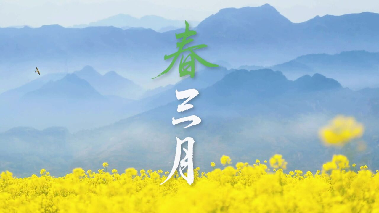洞箫吹奏《春三月》,三月春来,万物复苏
