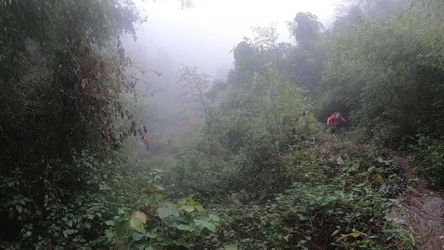 上海登山俱乐部 周末一起锻炼 香榧森林3 上海快乐徒步爬山户外