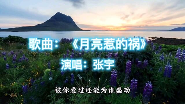 看一路风景,听一首好歌之张宇,《月亮惹的祸》