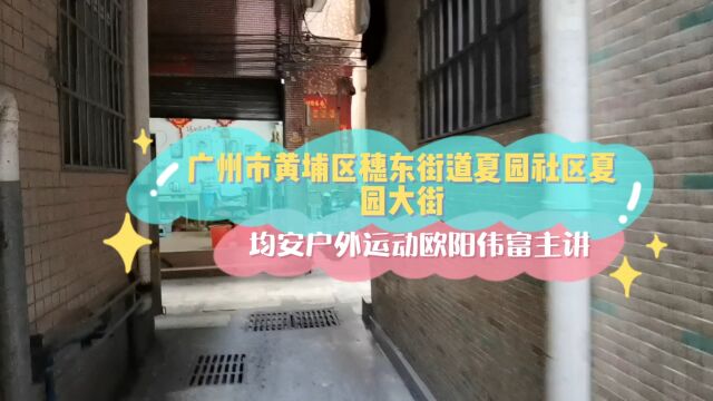 广州市黄埔区穗东街道夏园社区夏园大街