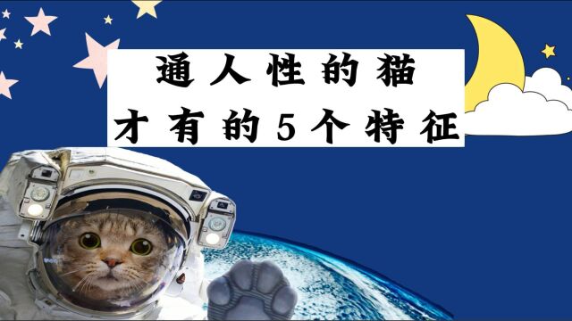 猫咪是否通人性?看它有没有这5个特征就明了!