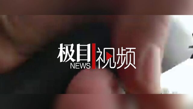 美国一头斑马差点咬掉主人的胳膊还欲袭警,被女警击毙