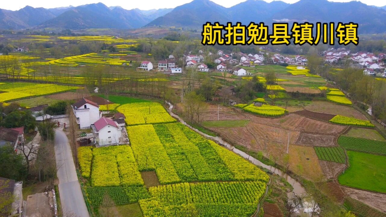 航拍汉中勉县镇川镇,四周油菜花开了,好一个美丽小镇