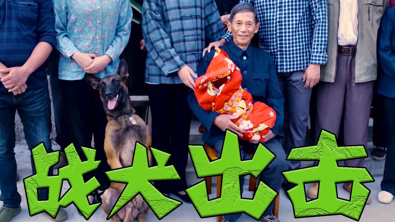 感人催泪剧,战犬出击,你救我一命,我护你一生