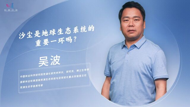 学者真言——沙尘是地球生态系统的重要一环吗?